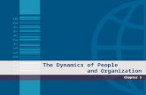 1the Dynamics of People and Organizations