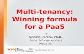 Multi tenancy - Wining formula for a PaaS