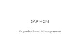 SAP HCM - OM PRESENTATION