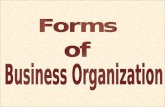 Presentation On Business Organization
