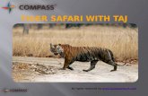 Tiger Safari with Taj - 9 Days