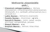 An Ayurvedic Pharmacology of Vetiveria zizanoidis & its Pharmacognocy