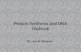 Protein synthesis dna rna flipbook_jw