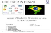 Unilever in Brazil