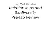 Relationships and biodiversity pre lab review