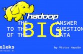 Hadoop: the Big Answer to the Big Question of the Big Data