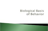 Biological basis of behavior (new)