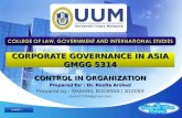 Control in Organization (Corporate Governance)