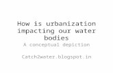 How urbanization impacts hydrology