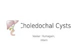 Choledochal cysts - Introduction, Classification, Pathogenesis & Management