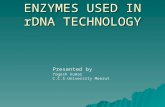 Enzymes used in rDNA Technology 110403031801-phpapp01