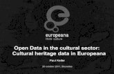 Open Data in the cultural sector: Cultural heritage data in Europeana