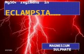 Magnesium Sulphate Regimens in Eclampsia - High Risk Calicut 21st Nov. 2010