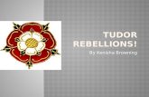 Tudor rebellions!