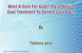 Want A Cure For Gout? Try a Natural Gout Treatment To Control Gout Pain!