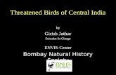 Threatened birds of india