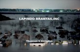 Audit Environment, Lapindo Brantas, Inc.