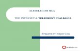 The Internet & Telephony in Albania-Fund 2008