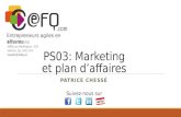 Ps03   marketing et plan d'affaires