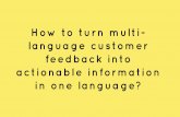 How to turn multi-language feedback into actionable information in one language.
