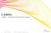 Slides of Camel Phase 1-2 SVU Session