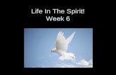 Life in the Spirit 06