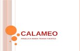 Calameo (1)