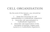 Cell Organisation(handout)