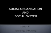 Social organisation and social system