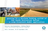 Feed gaps and the effect of cereal grazing in a dryland farming system of the South Australian Mallee - a crop-livestock model application. Katrien Descheemaeker