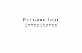 Extranuclear inheritance
