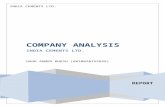 Final report on india cements