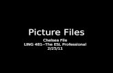 Chelsea's picture files