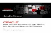 Oracle ams (and user experience) for siebel