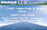 Cloud Computing & Big Data: Sample Case Study Bouju™ Tools for IP, Trademark Monitoring, and Enforcement BizCloud