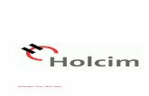 Holcim Final Capstone Project, Spring 2011