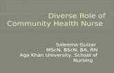 Diverse Role of Community Health Nurse