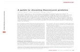 Shaner 2005 Nature Methods - Choosing Fluorescent Proteins