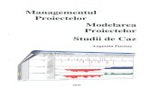Managementul Proiectelor - Modelarea Proiectelor - Studii de Caz