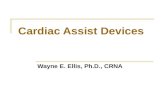 Cardiac Pacemakers