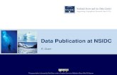 Duerr rdap11 data_publication_at_nsidc