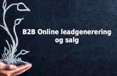 B2 b online leadgenerering og salg