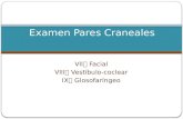 Examen Pares Craneales VII, VIII, IX