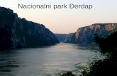 Nacionalni park Đerdap