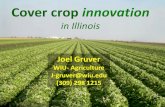 Cover Crop Innovation in IL