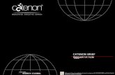 Catenon Worldwide Executive Search