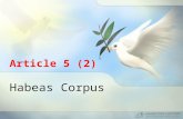 Article 5 (2) right to habeas corpus
