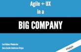 Agile + UX in a Big Company