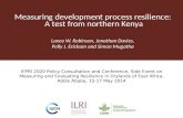 Measuring development process resilience:  A test from northern Kenya