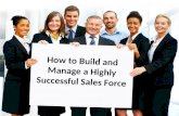 Milestone Partners: Managing a Sales Force